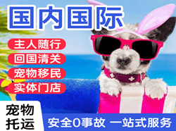 布拉克机场物流国际宠物托运 【国